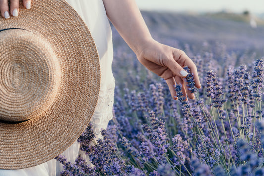 Lavanda para dormir: transforma tus noches con este ritual