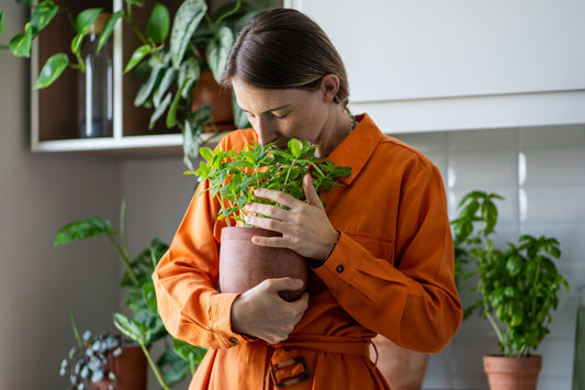 Aceite Esencial de Menta: El Toque Refrescante que Tu Cuerpo y Mente Están Pidiendo