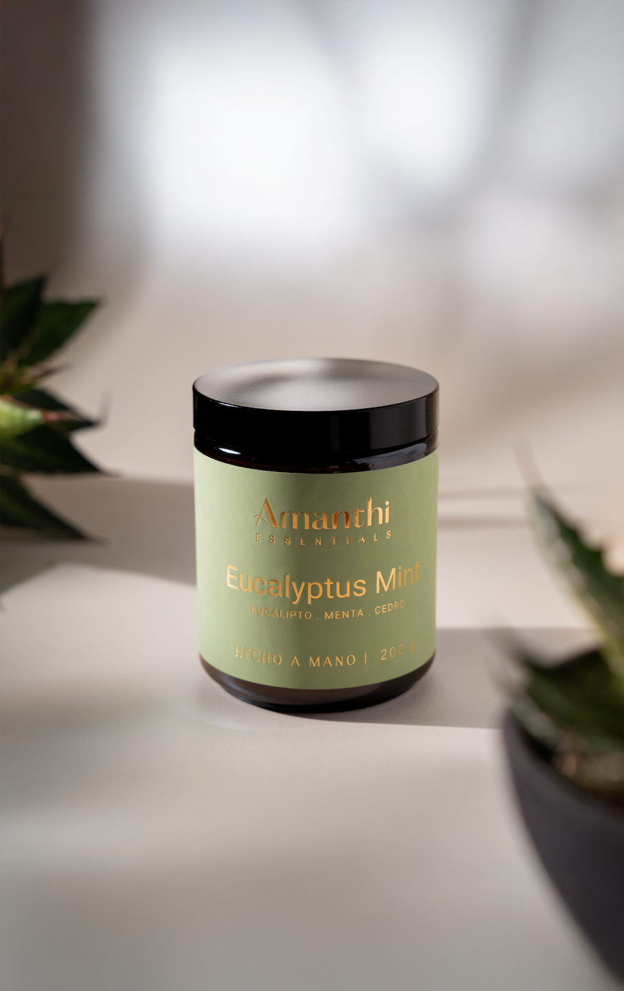 Vela · Eucalyptus Mint